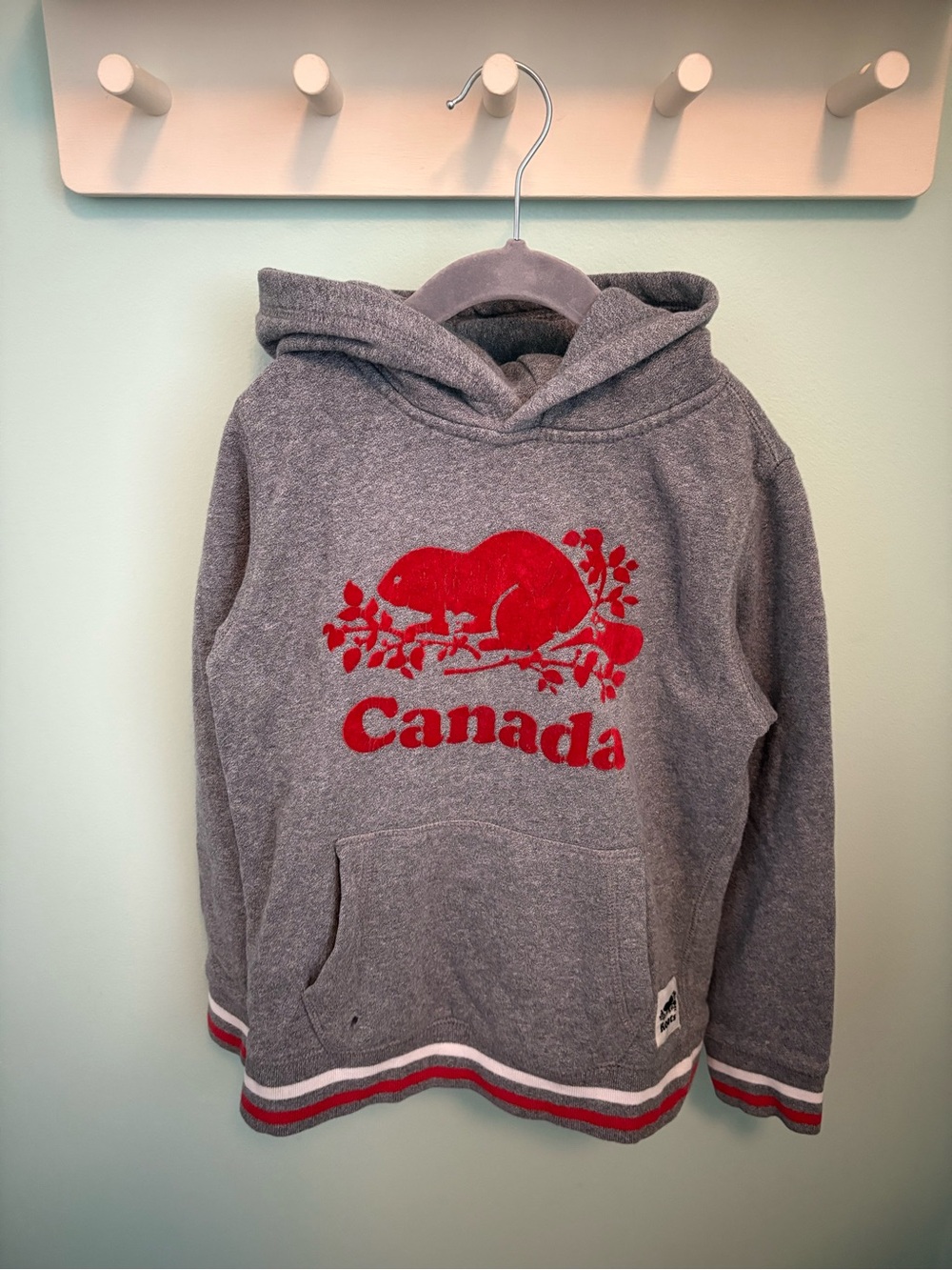 Roots Gray Hoodie with Red Canada Beaver Graphic